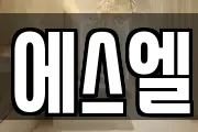 에스엘