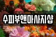 충북 청주시 상당구 용정동 마사지, 지압등 업체정보