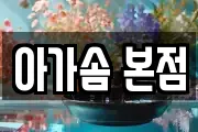 아가솜 본점