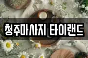 충북 청주시 서원구 산남동 마사지, 지압등 업체정보