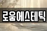 로움에스테틱