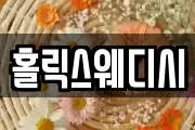 홀릭스웨디시