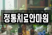 충북 청주시 청원구 내덕동 마사지, 지압등 업체정보