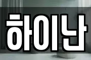 하이난