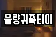 율량귀족타이