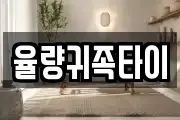 율량귀족타이
