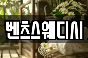 벤츠스웨디시