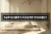 하늘특수청소냄새제거고독사청소쓰레기집청소유품정리