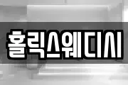 홀릭스웨디시