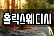 홀릭스웨디시