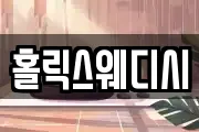 홀릭스웨디시