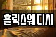 홀릭스웨디시