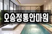 충북 청주시 흥덕구 오송읍 마사지, 지압등 업체정보