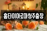 홈타이아로마청주출장