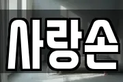사랑손
