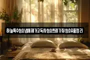 하늘특수청소냄새제거고독사청소쓰레기집청소유품정리