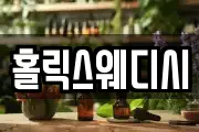 홀릭스웨디시