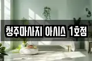 충북 청주시 흥덕구 마사지, 지압등 업체정보