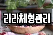 라라체형관리