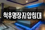 척추명장지압침대