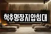 척추명장지압침대