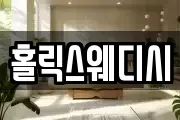 홀릭스웨디시