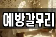 충청남도 공주시 계룡면 마사지, 지압등 업체정보