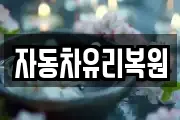 자동차유리복원