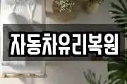자동차유리복원