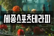 세종스포츠테라피
