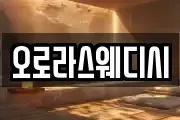 오로라스웨디시