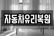 자동차유리복원