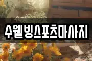 수웰빙스포츠마사지