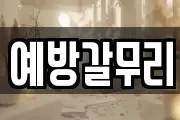 예방갈무리