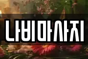 나비마사지