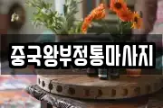 충청남도 당진시 수청동 마사지, 지압등 업체정보