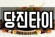당진타이