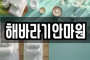 해바라기안마원