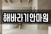해바라기안마원