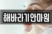 해바라기안마원