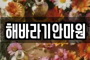 해바라기안마원