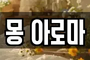 몽 아로마