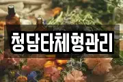 청담타체형관리