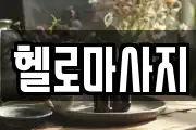 충청남도 보령시 화산동 마사지, 지압등 업체정보