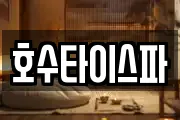 호수타이스파