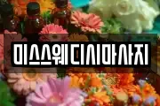 미스스웨디시마사지