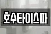 호수타이스파