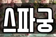스파궁