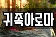 귀족아로마