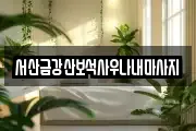 충청남도 서산시 장동 마사지, 지압등 업체정보